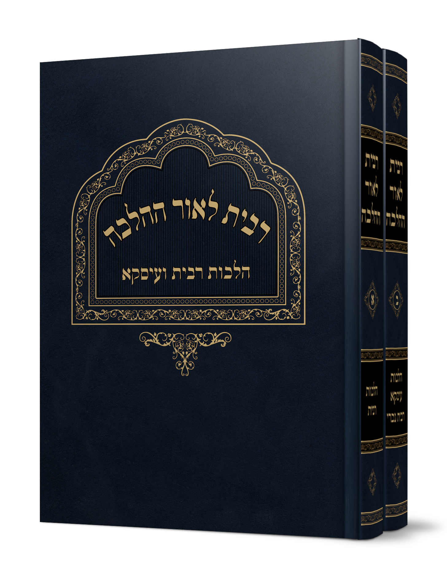 ספר רבית לאור ההלכה על הלכות רבית מהגאון הרב משה פנירי שליט"א